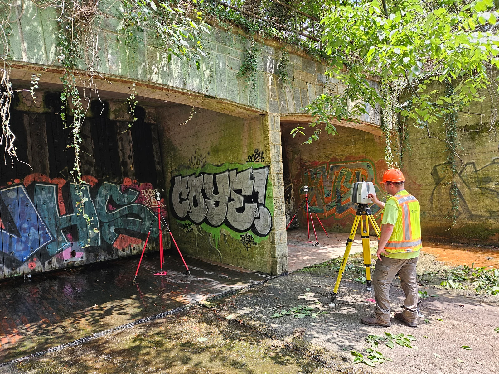graffiti vines