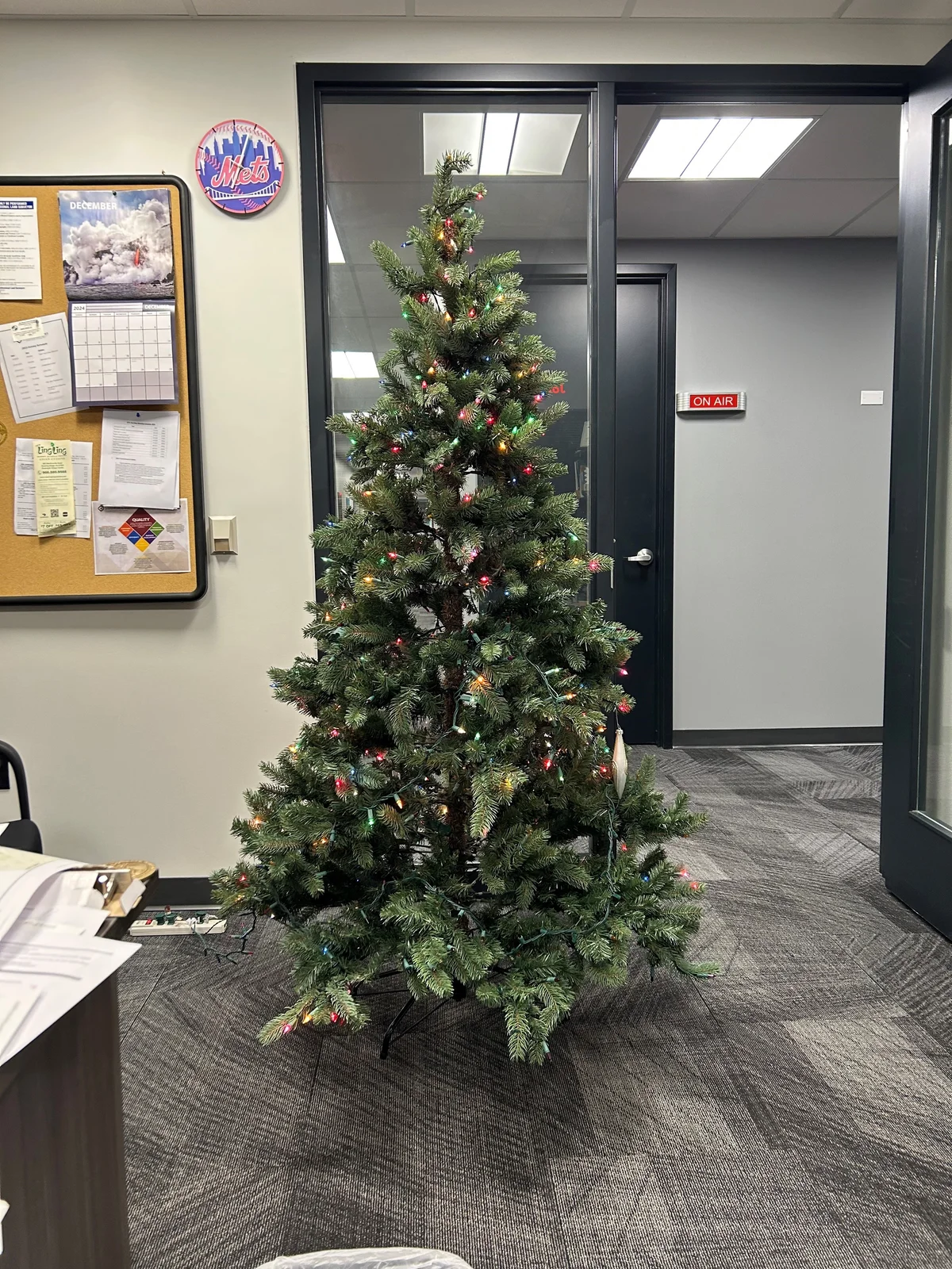 last tree