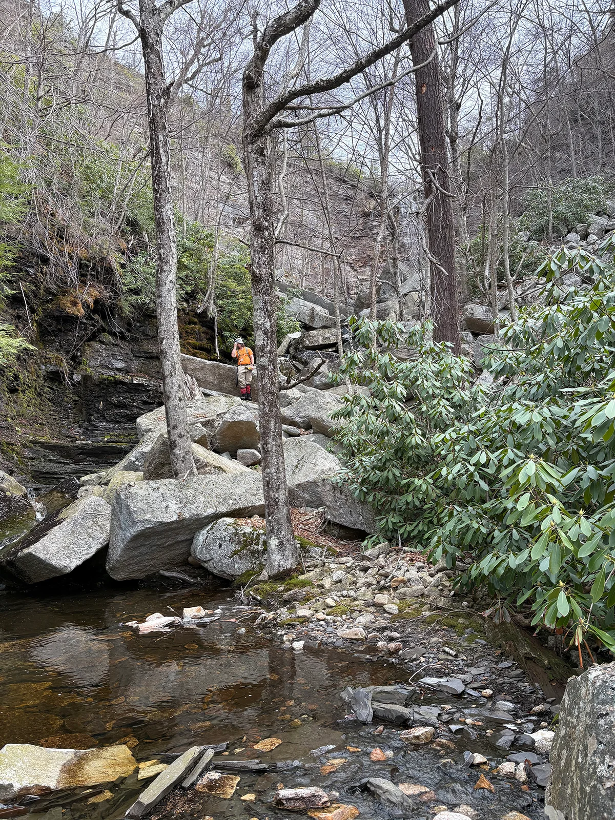 rocky stream