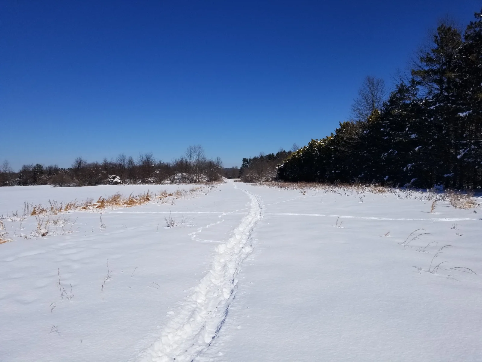 snow path