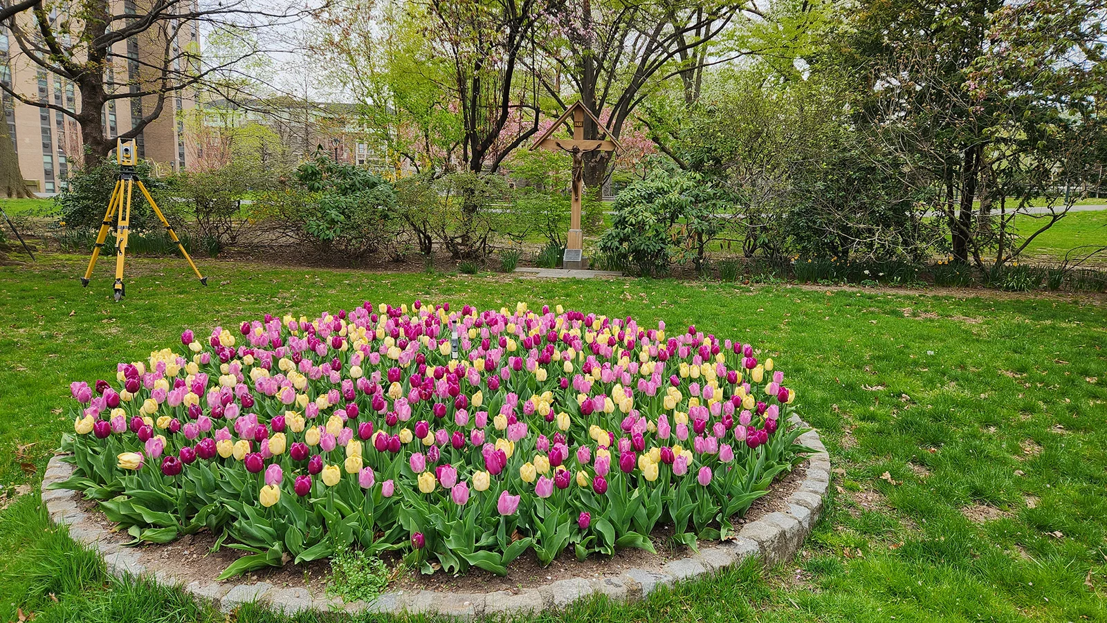 tulips&instrument